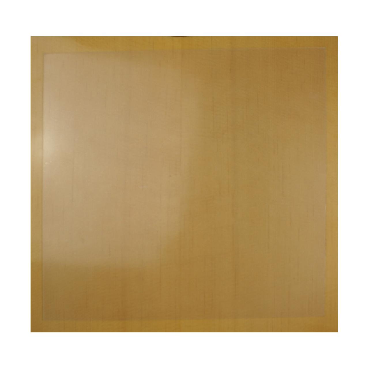 GOLPEADOR TRANSPARENTE ADHESIVO GRANDE CUADRADO GTAG